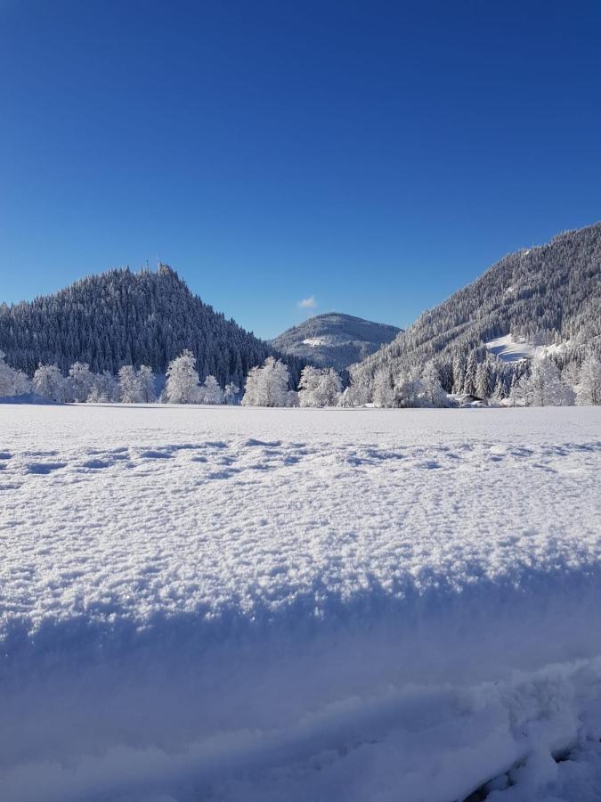 Landhaus Theresia Sankt Martin am Tennengebirge Zewnętrze zdjęcie